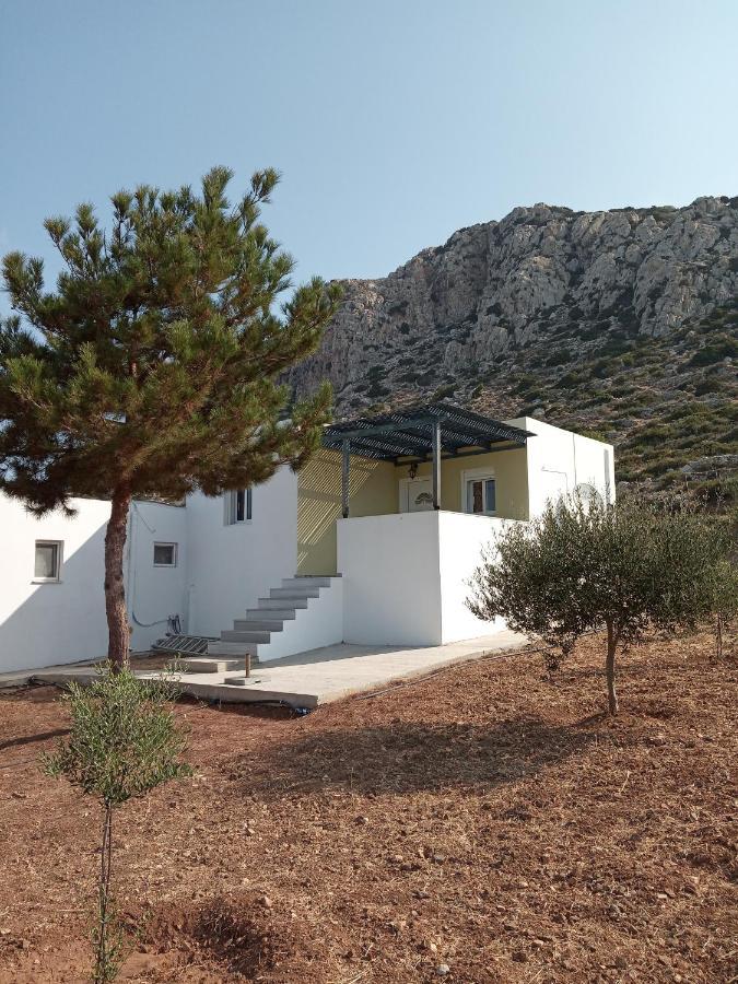 Albatros Studios & Apartments Lefkos  Exteriör bild