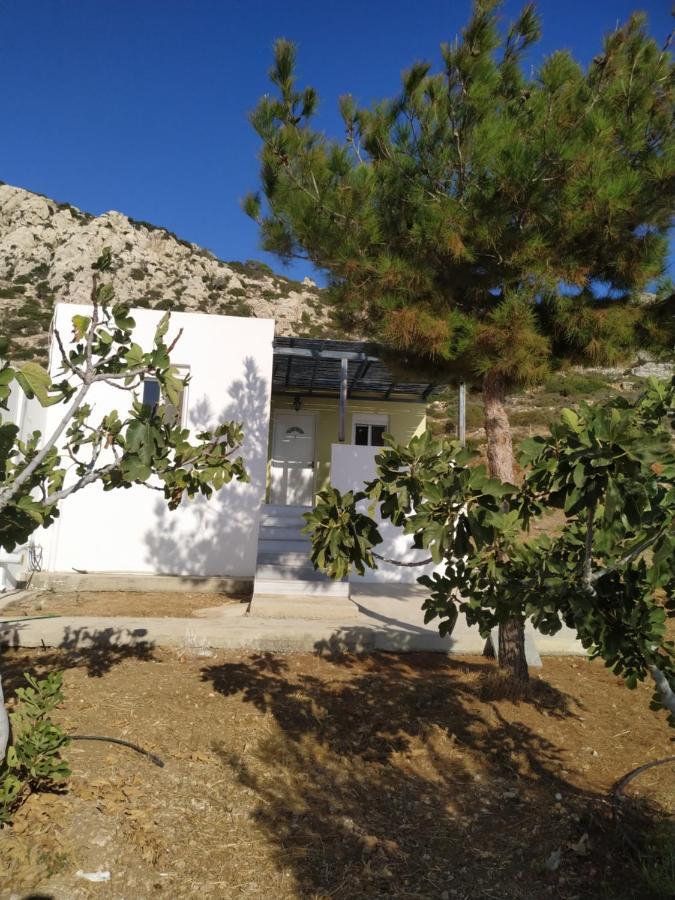 Albatros Studios & Apartments Lefkos  Exteriör bild
